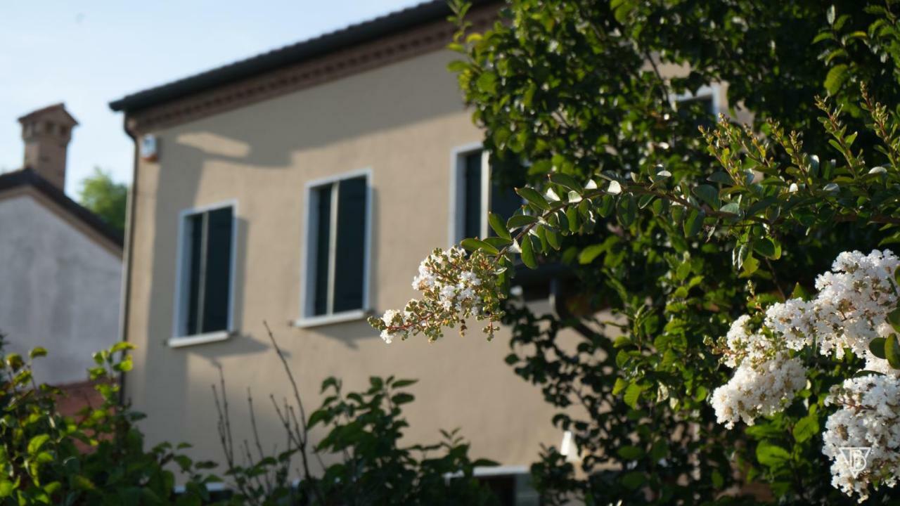 Hotel Antico Alveo à Camponogara Extérieur photo